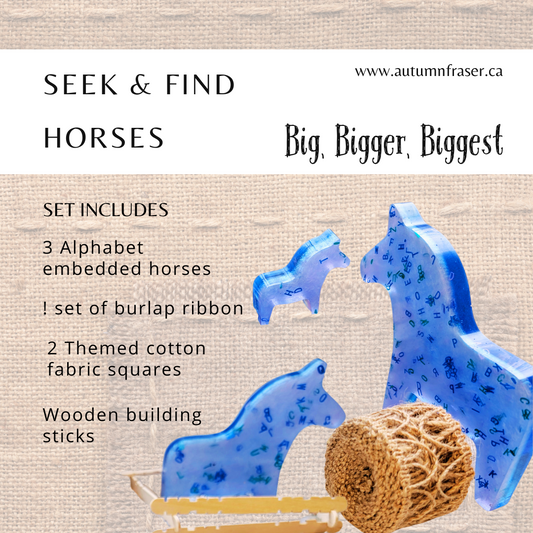Seek & Find Horses (Big, Bigger, Biggest)