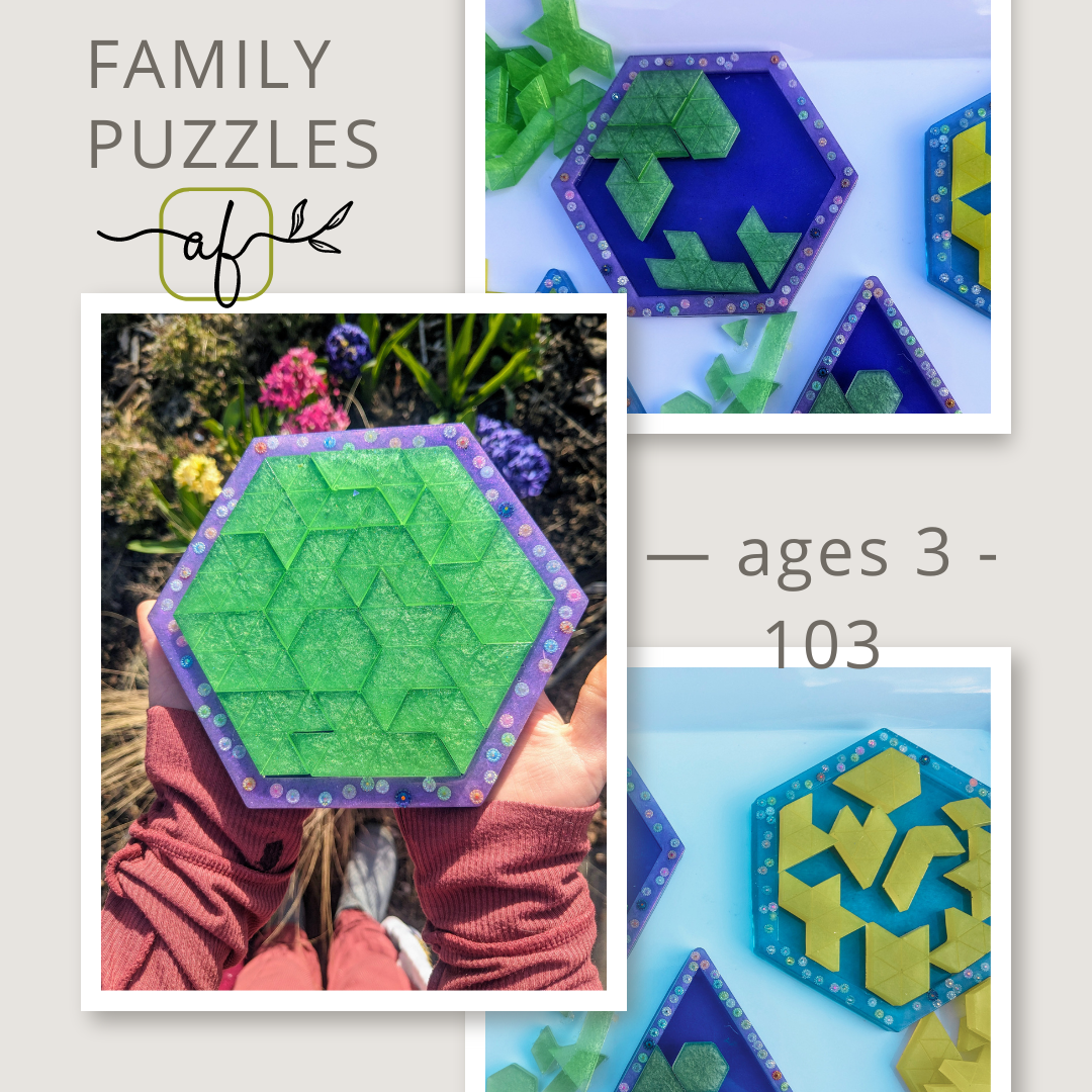 Hexagon Brain Teaser Puzzle - 16 piece