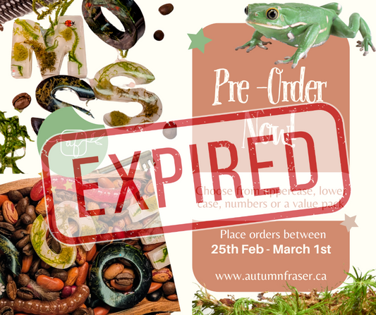 Moveable Alphabet - Moss & Meadow