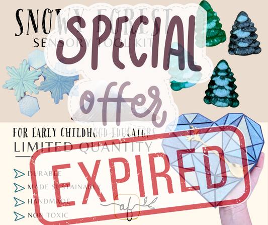 Snowy Forest - Sensory Tool Kit (BOX B)