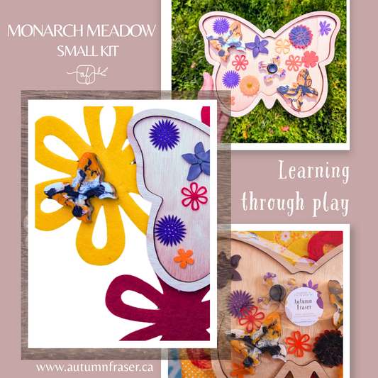 Monarch Meadow Invitation To Play Set