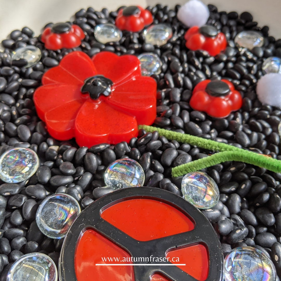 Mini Poppy Sensory Set