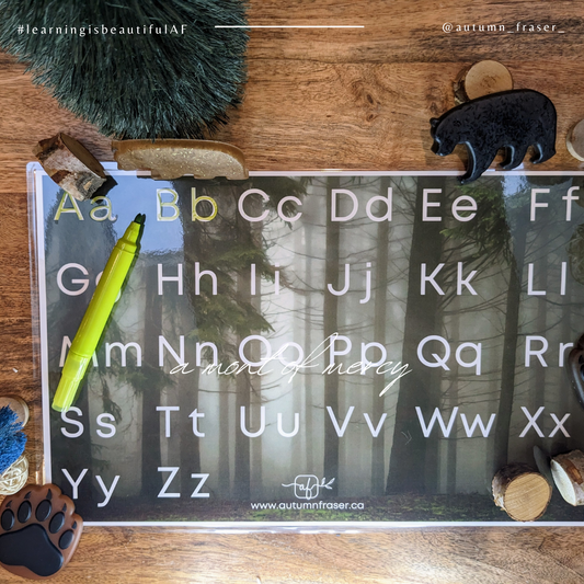 Laminated Alphabet Mat