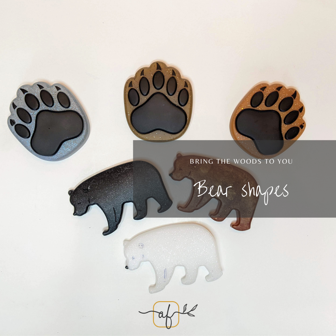 Beautiful Bear Play Shapes