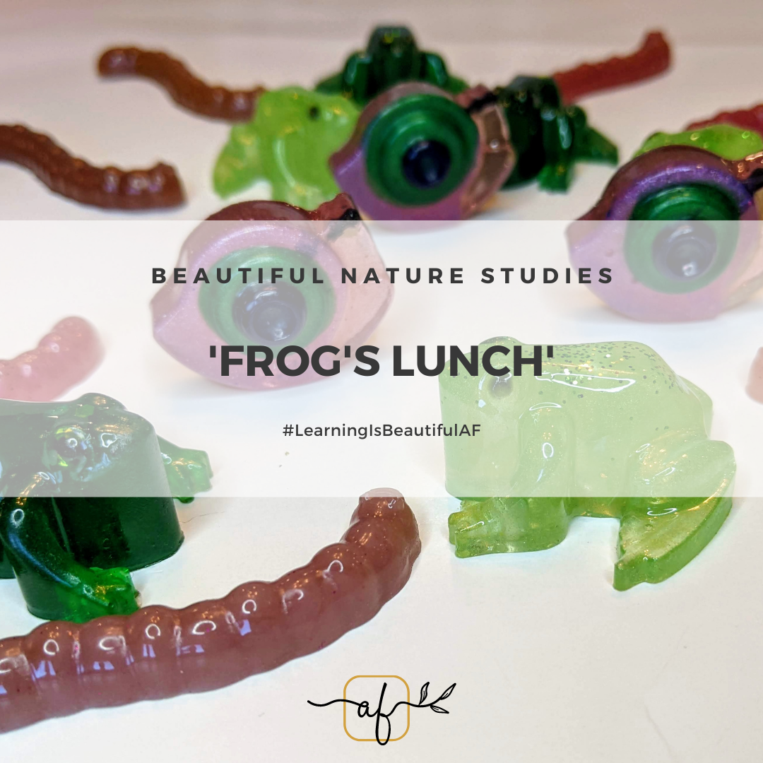 Frog's Lunch Sensory Set (11 piece set)