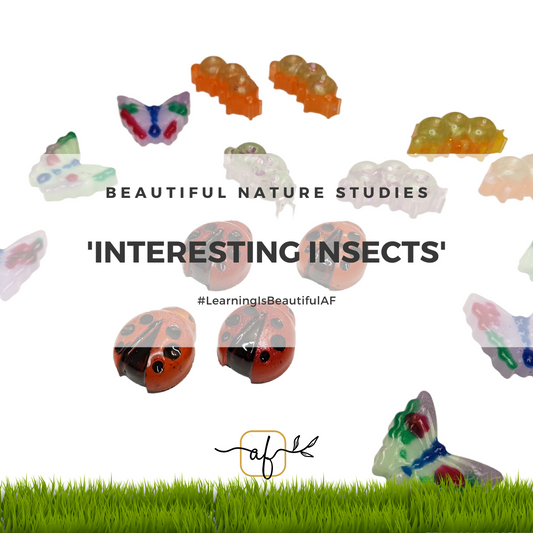 Interesting Insects Sensory Set