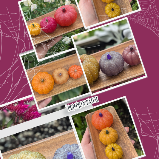 Set of 4 3-D Pumpkins