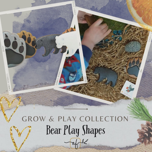 Beautiful Bear Play Shapes